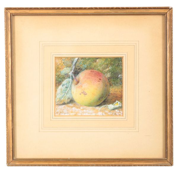 WILLIAM HOUGH (1819-1897) Still life with an apple in a landscape