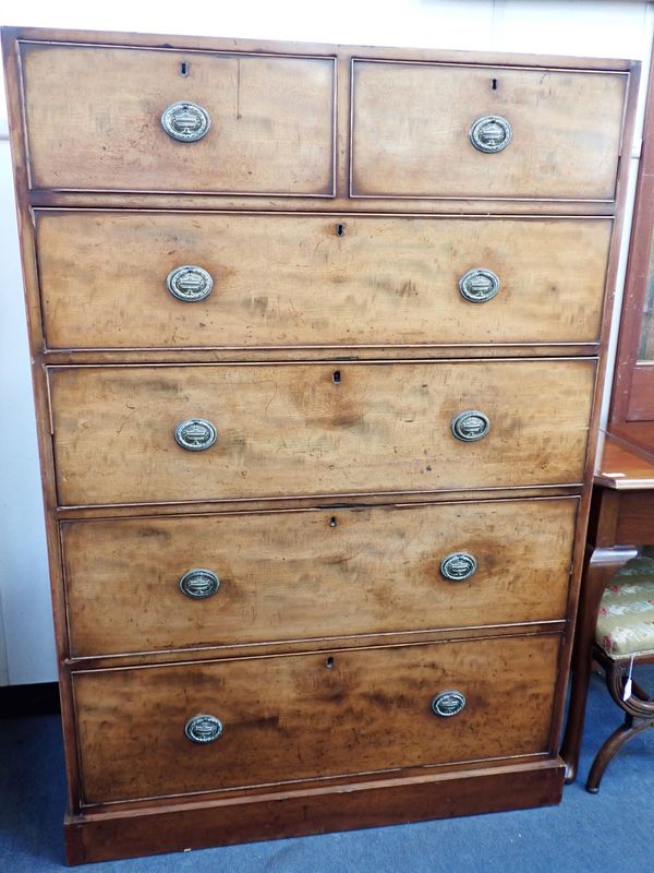 A 19th CENTURY MAHOGANY TALL CHEST OF DRAWERS