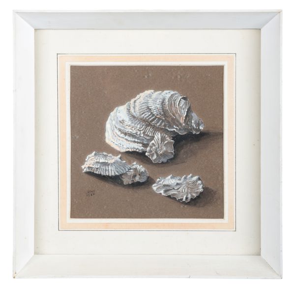20TH CENTURY SCHOOL A Study of Shells