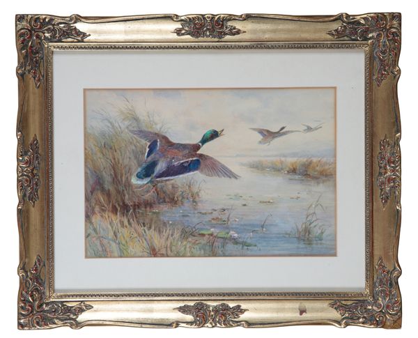 *JAMES STINTON (1870-1961) A study of flying ducks