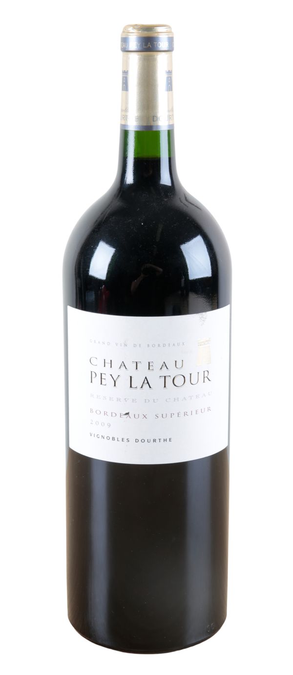 CHATEAU PEY DE LA TOUR BORDEAUX SUPERIEUR 2009