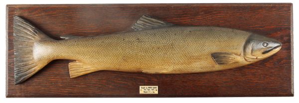 A CARVED WOODEN SEA TROUT