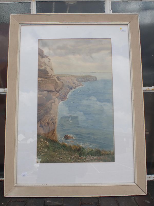 WILL PYE: PORTLAND BILL, FROM THE WEST