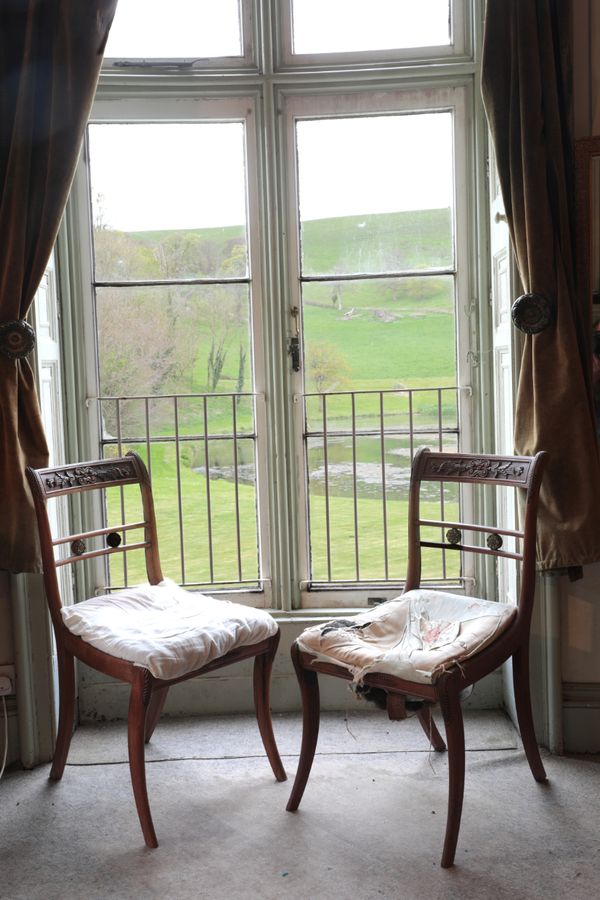 A PAIR OF REGENCY ROSEWOOD SALON CHAIRS