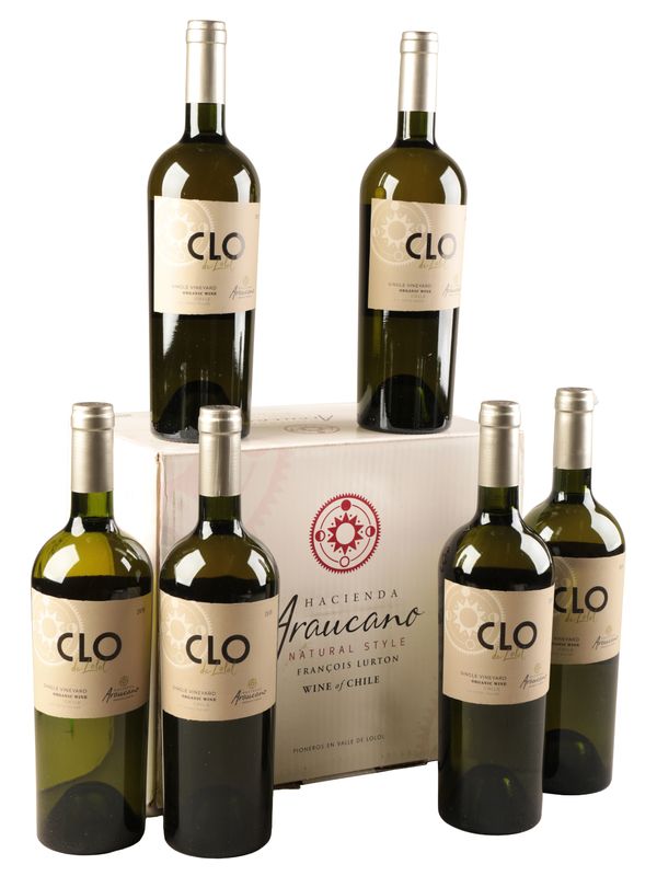 FRANÇOIS LURTON HACIENDA ARAUCANO ‘CLOS DE LOLOL’ ORGANIC WHITE WINE 2019