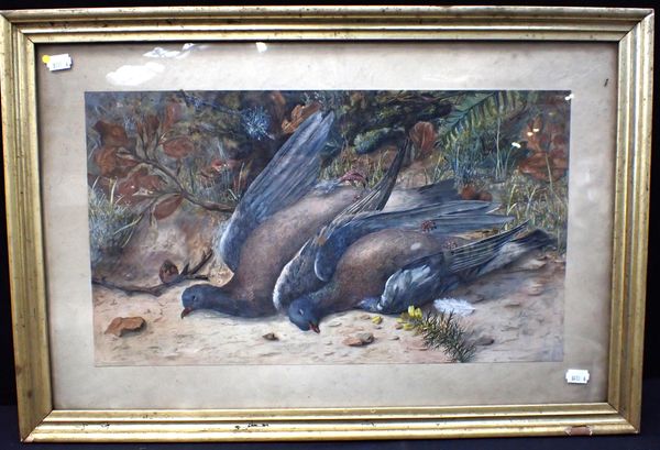 DEAD BIRDS AMONGST ROCKS AND FOLIAGE, WATERCOLOUR