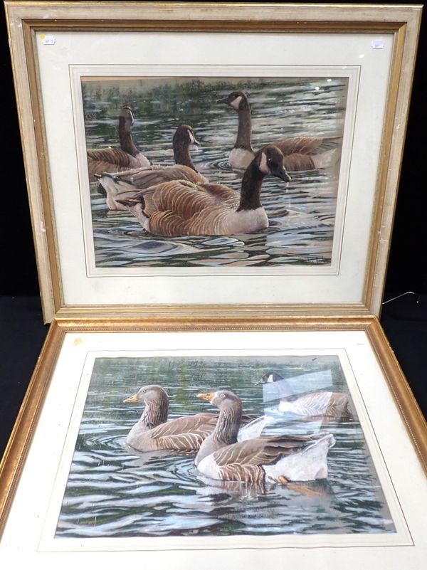 STEPHEN HAWKINS: GEESE, PASTEL