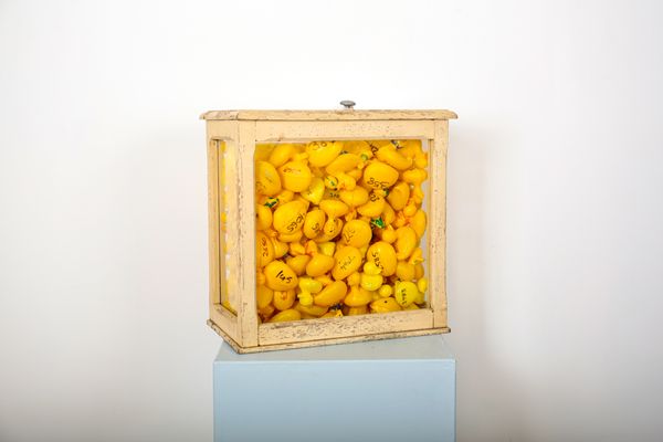 PAUL DREWETT (20TH CENTURY): An art installation of yellow plastic ducks in glazed box