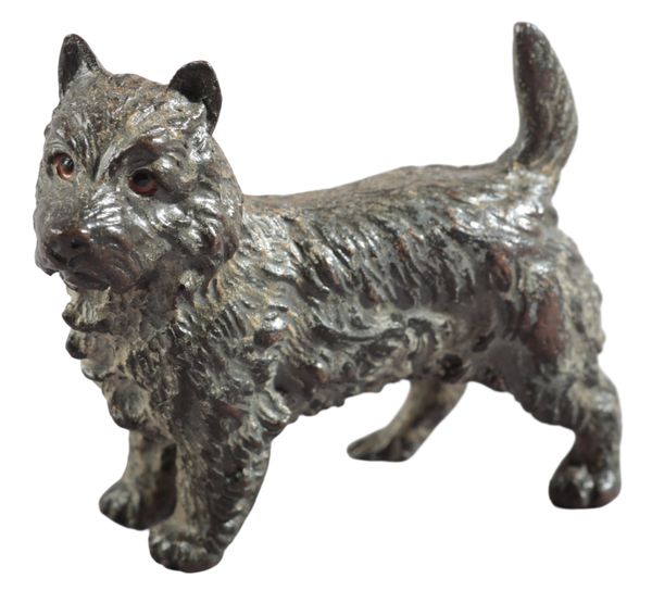 MANNER OF FRANZ BERGMAN (1861-1936): A COLD PAINTED BRONZE TERRIER