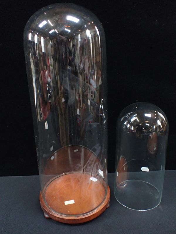 A GLASS DOME 48cm HIGH