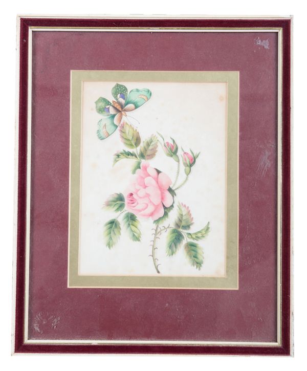 A COLLECTION OF CHINESE PITH PAINTINGS