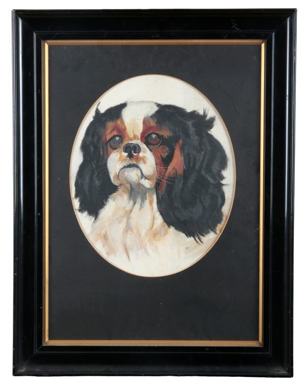 20TH CENTURY SCHOOL A portrait of a Cavalier King Charles Spaniel