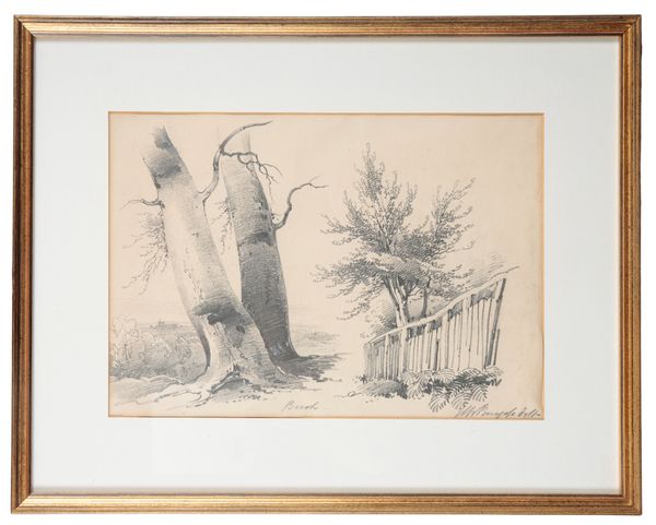 HENRY WILLIAM BURGESS (1792-1839) Beech tree in a landscape