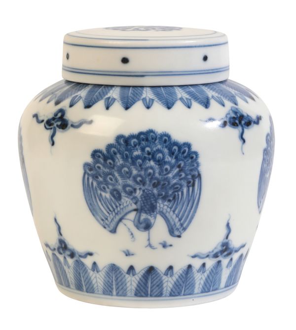 A CHINESE PORCELAIN BLUE AND WHITE 'PEACOCK' JAR