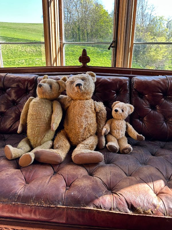 A GROUP OF VINTAGE TEDDY BEARS