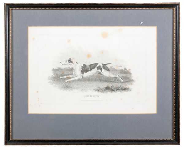 ENGLISH SCHOOL, 19TH CENTURY Seven studies of working dogs