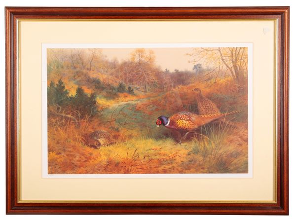 AFTER ARCHIBALD THORBURN (1860-1935) Pheasants in a landscape