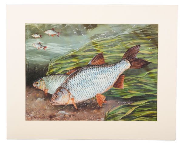 *AFTER GARRY CARTWRIGHT (B.1953) A pair of fishing studies