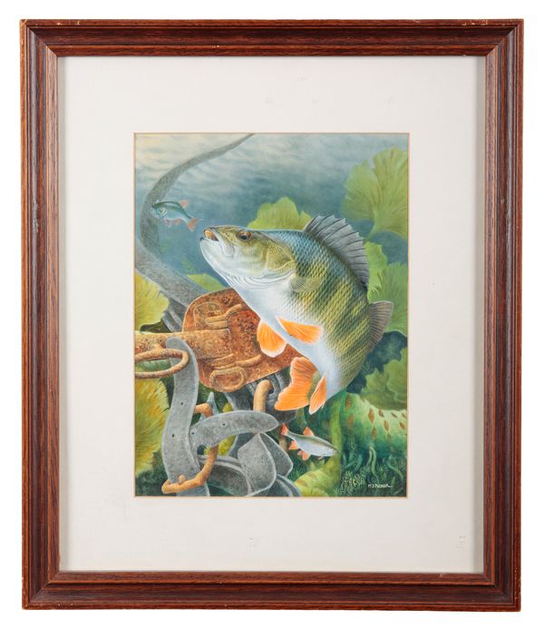*MORRIS J PLEDGER (B.1955) Study of a perch