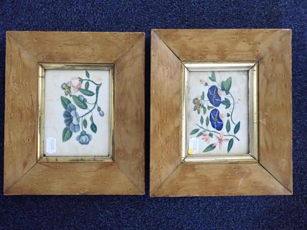 A PAIR OF 19th CENTURY CHINESE PITH PAINTINGS