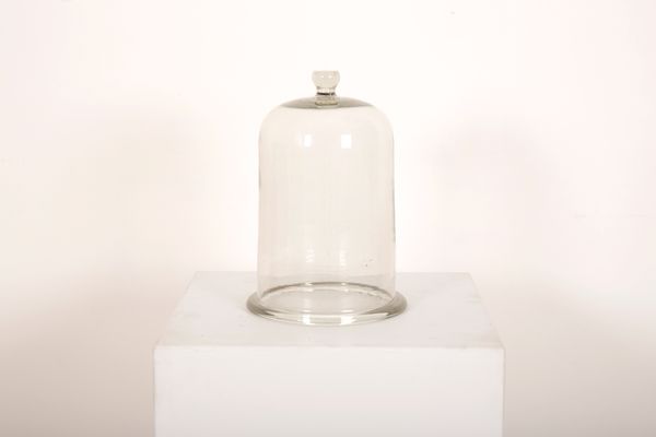 A LARGE THICK WALLED VICTORIAN BELL JAR