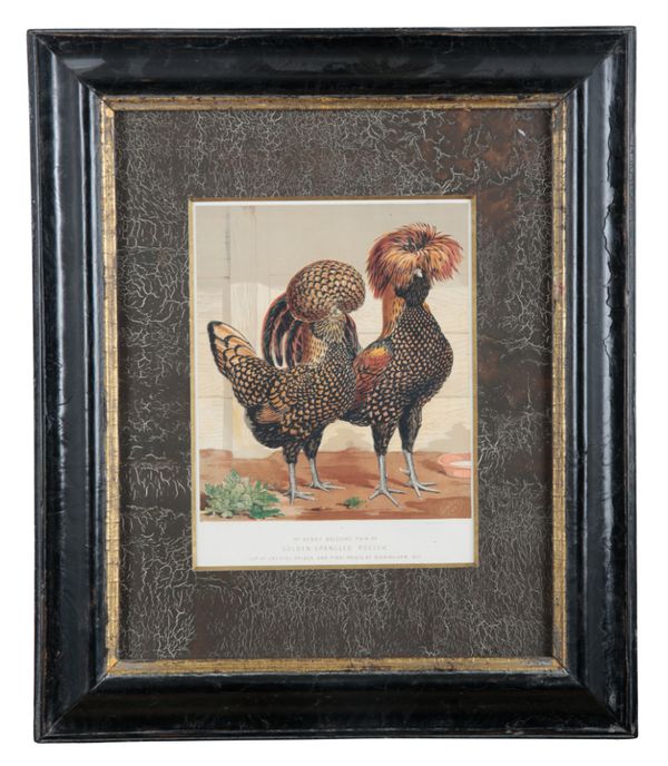 AFTER JOSEPH W. LUDLOW (1840-1915) A series of four prize winning chickens