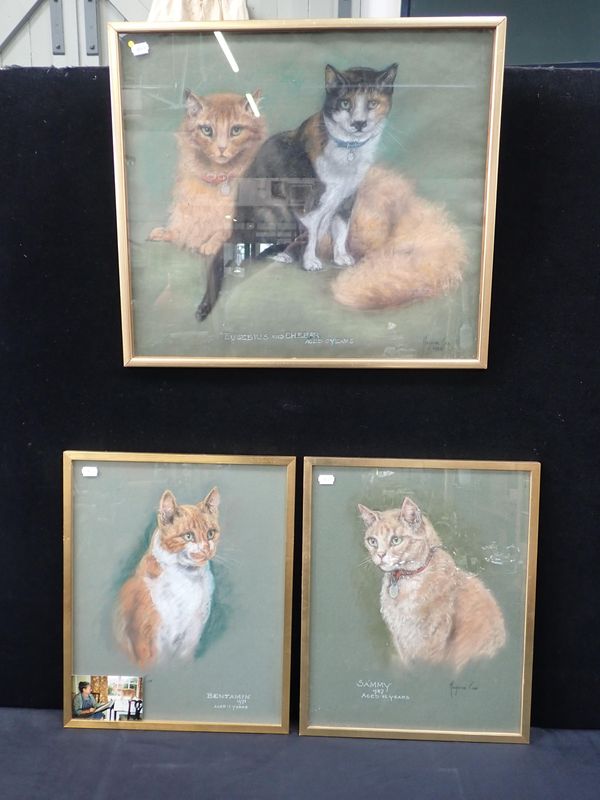 MARJORIE COX: THREE PASTEL CAT PORTRAITS