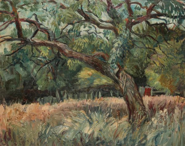 *MAVIS FREER (1927-2016) 'Old Ash Tree'