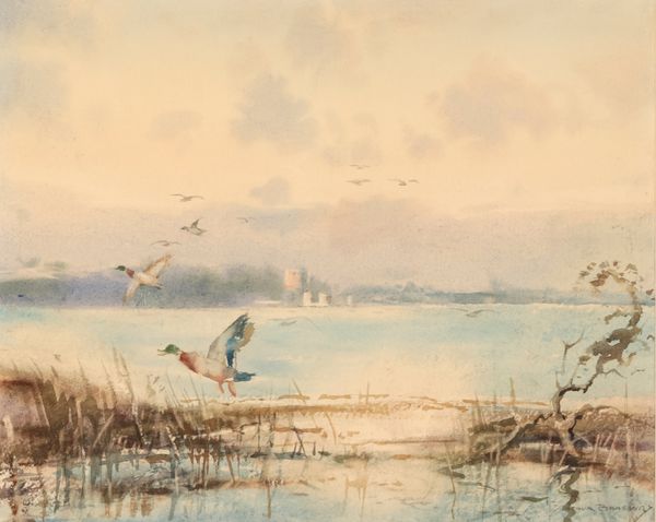 *ARTHUR BRADBURY (1892-1977) 'Mallards at Poole Harbour'
