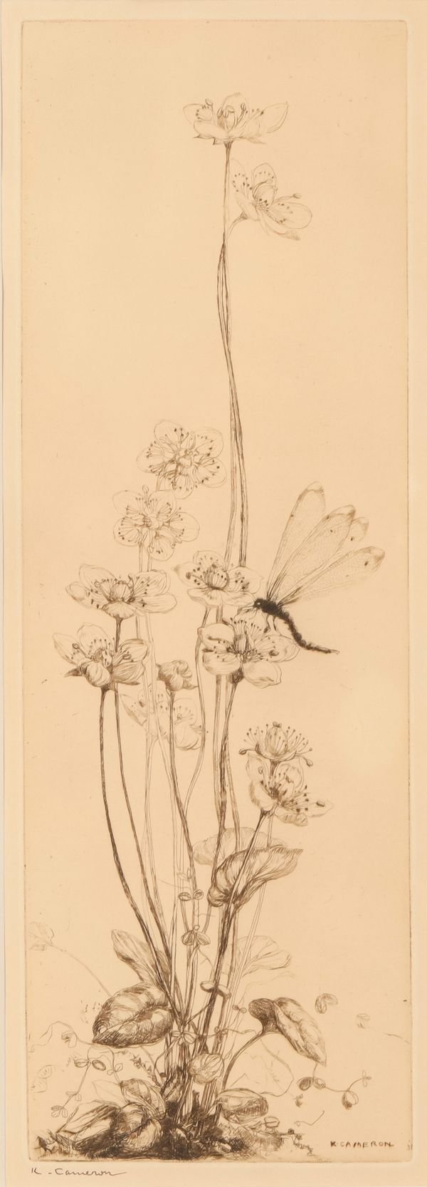 *KATHARINE CAMERON (1874-1965) 'The Dragonfly'