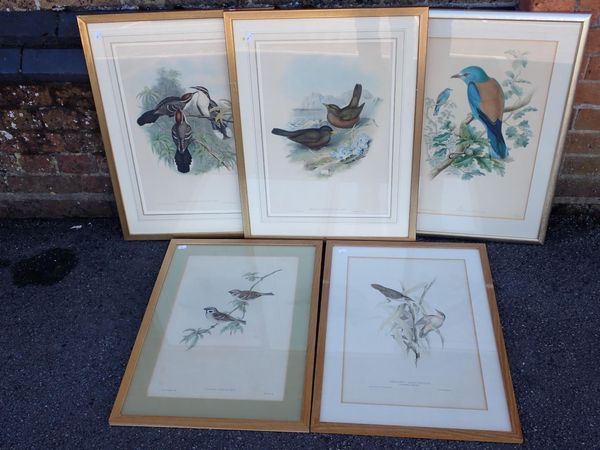 J &E.GOULD AND H.C. RICHTER: FIVE PRINTS FROM GOULD'S BIRDS