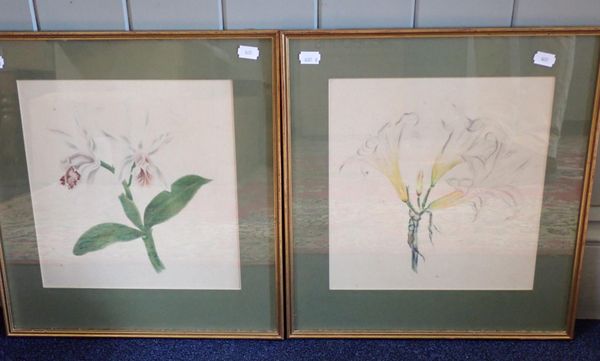 A PAIR OF 19th CENTURY BOTANICAL WATERCOLOURS