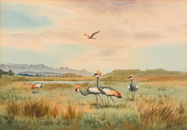 *JOHN CYRIL HARRISON (1898-1985) 'Crowned Cranes off a River at Underberg, South Africa'