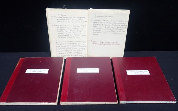 DIARY OF WORLD WAR TWO, MANUSCRIPT