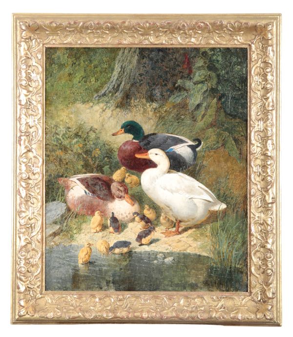 JOHN FREDERICK HERRING SENIOR (1795-1865) Ducks and ducklings on a pond