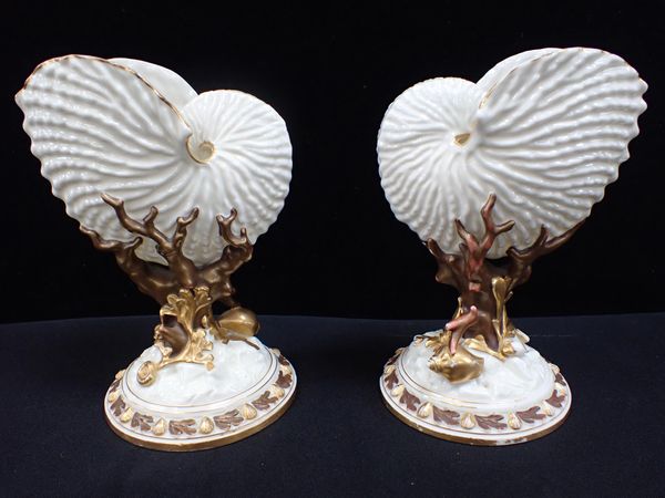 A MATCHED PAIR OF WORCESTER NAUTILUS SHELL VASES