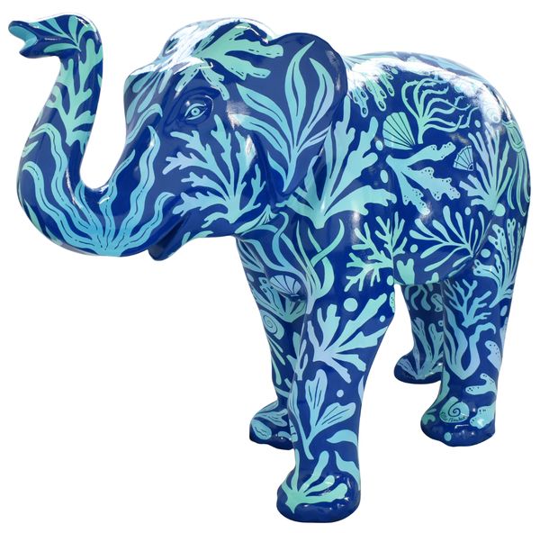 Ocean Flora