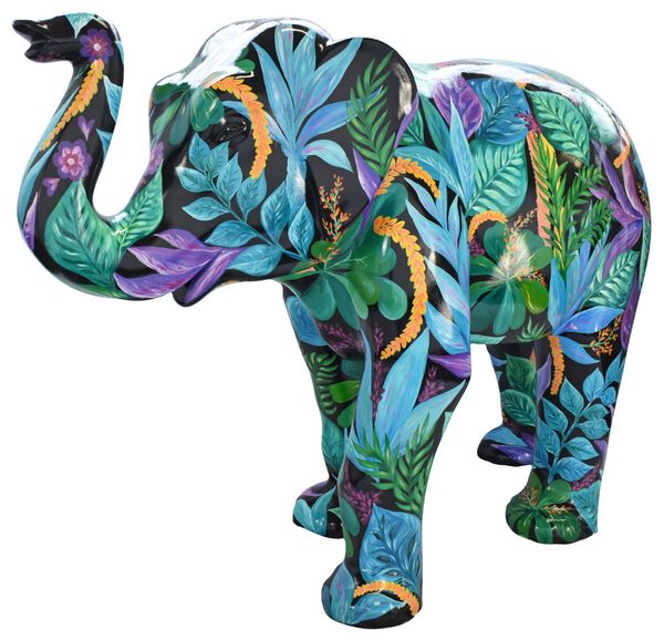 Tropical Trunki
