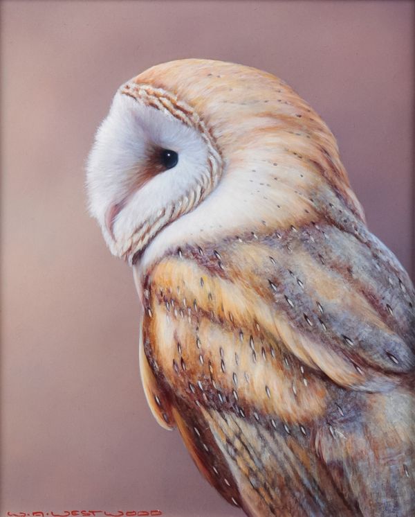 *WAYNE WESTWOOD (1964-2021) Study of an owl