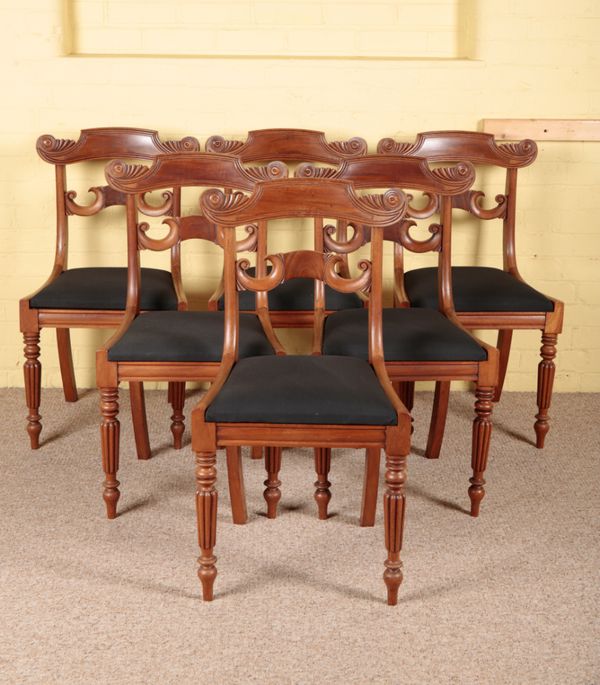 A SET OF SIX WILLIAM IV MAHOGANY DINING CHAIRS