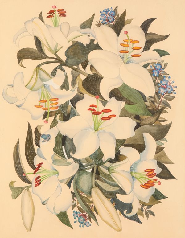 K. M. SCALE HARDING-NEWMAN (20TH CENTURY) Still life of white stargazer lilies with butterfly