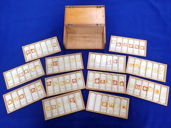 A CASE OF OLD GLASS MICROSCOPE SLIDES