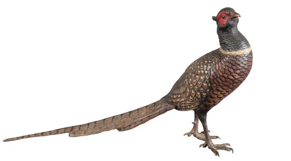 AN AUSTRIAN COLD PAINTED BRONZE OF A COCK PHEASANT