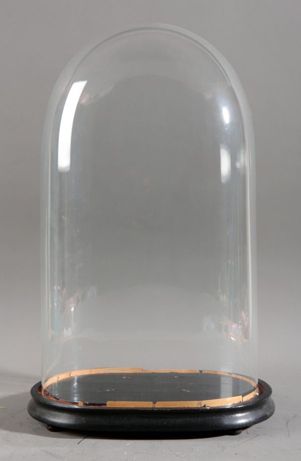 A LARGE VICTORIAN GLASS DOME AND EBONISED BASE