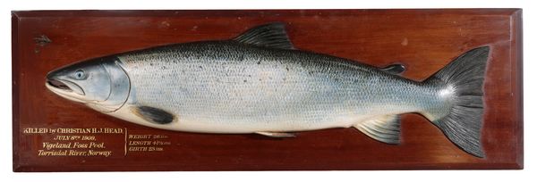 A FOCHABERS HAND-PAINTED CARVED WOODEN HALF-BLOCK SALMON