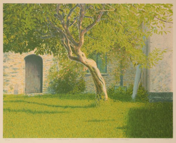 *NORMAN STEVENS (1937-1988) ‘Laurel Tree, Nettlecombe Court’