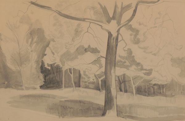 *JOHN NORTHCOTE NASH (1893-1977) ‘Wood Study’