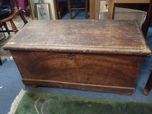 A 19th CENTURY CAMPHORWOOD  SEA CHEST