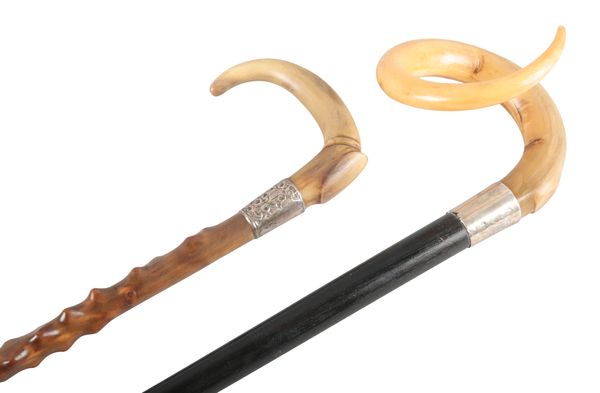TWO SIMILAR HORN WALKING STICKS