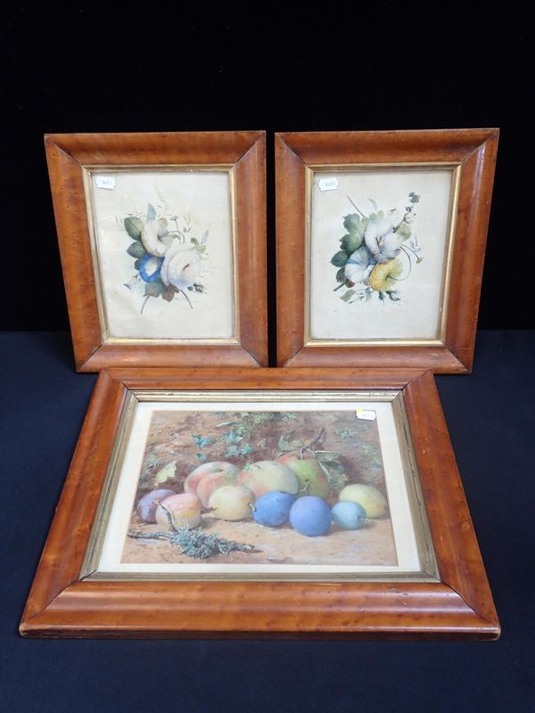 A PAIR OF19TH CENTURY FLORAL WATERCOLOURS